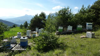 l-apiculture_aux_orres_vente_de_miel_5.jpg