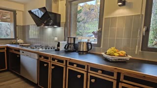 Lagopède cuisine chalet